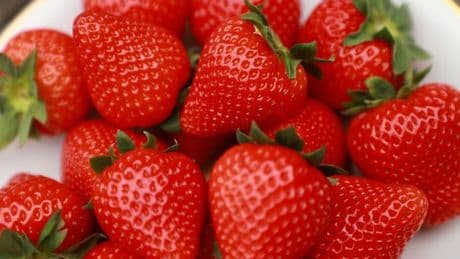 Strawberries ‘so big they won’t fit in your mouth’ set to hit shop shelves