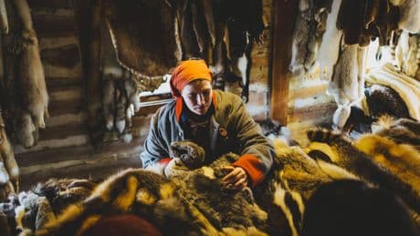 Festival calls for safe return of 100 animal pelts after Fort Gibraltar heist
