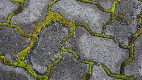 'Only thing that works' to remove black spots from your patio in 10 minutes