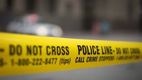 Man accused of killing, dismembering 2 people in Huntsville, Ont.