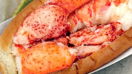 Feeding the Maine Lobster Roll Boom