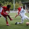 Football. U19 : Vertou encore en apprentissage après sa défaite face au Stade Poitevin