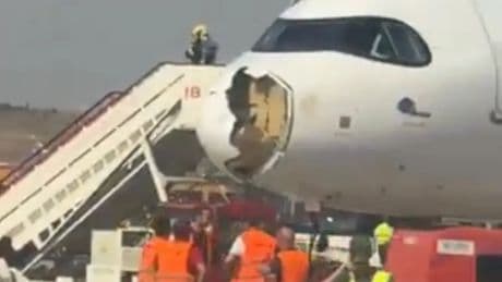 Del choque con un ave al fallo del motor: las tres coincidencias que desataron el terror en el avión de Iberia