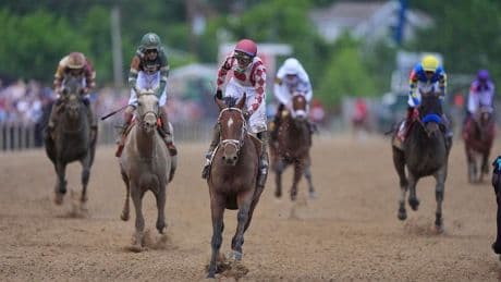 Journalism Headlines Haskell: Pros And Cons For All Eight Contenders