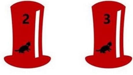 Only 1 in 3 can work out which hat contains the cat in baffling brainteaser
