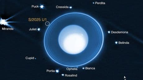 El telescopio espacial James Webb de la NASA descubre una diminuta luna nueva alrededor de Urano