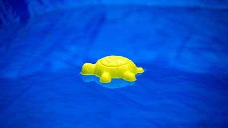 Frankreich: Zwei vermisste Kinder tot in Pool in Frankreich gefunden