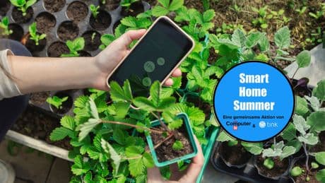 Per Smartphone zur grünen Oase: Die besten Apps für einen gepflegten Garten