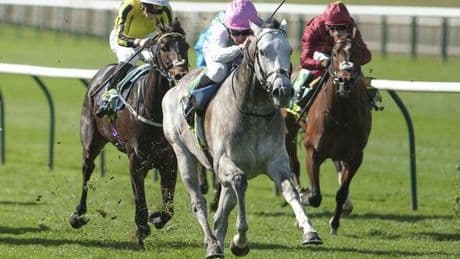 Irish 2,000 Guineas results in full as Racing TV presenter left shocked
