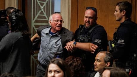 "Le Congrès finance des bombes pour tuer des enfants à Gaza": le cofondateur des glaces Ben & Jerry's expulsé du Capitole lors d'une audition