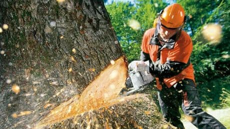 Familienunternehmen: Stihl legt wieder zu – und verlagert Arbeitsplätze ins Ausland