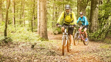 Radfahren als Fettkiller: Mit diesem Plan purzeln die Pfunde
