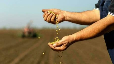 Bonus agricoltori, domande dal 25 agosto per il sussidio fino a 2.500 euro: beneficiari, importi e come richiederlo