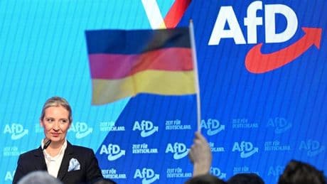 Los servicios de Inteligencia de Alemania clasifican al partido ultra AfD como "organización extremista"