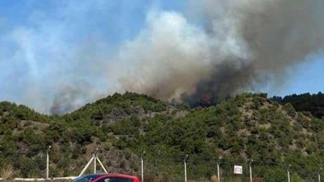 Tokat'ta orman yangını! Müdahale devam ediyor