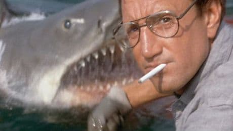 "C'est le pouvoir de la suggestion": comment les "Dents de la mer" a terrorisé des générations presque sans requin