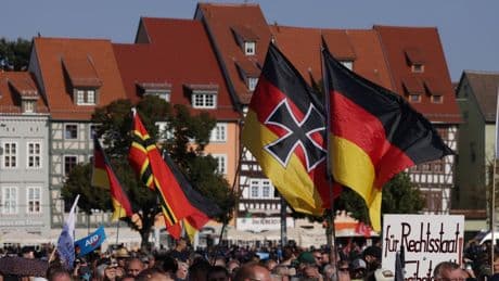 Alternative for Germany party classified as ‘extremist’ by intelligence agency