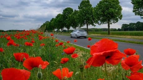 Wetter: Wechselhaftes Pfingstwochenende in Berlin und Brandenburg