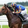 Robin Goodfellow's racing tips: Best bets for Friday, May 16