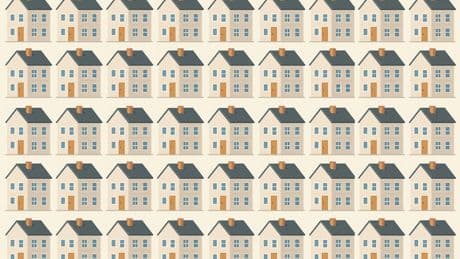 Everyone can see the newbuild rooftops – but can you spot the house that’s different in under 10 seconds?