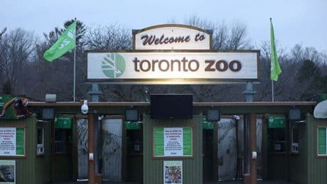 Tourists are flocking to Toronto Zoo to see common Scottish animal we have for free