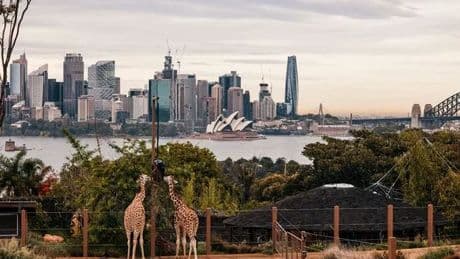 British woman moves to Australia and experiences five major culture shocks