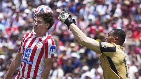 Atlético - Botafogo: las imágenes del partido