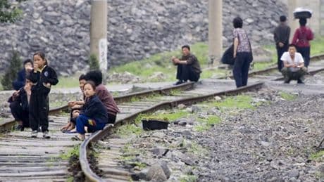 Russland: Geflohene Nordkoreaner berichten von "Sklaven"-Arbeit