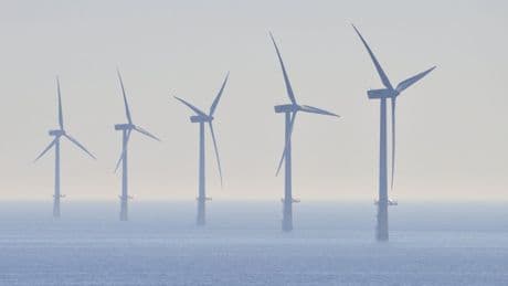 Trump blows a hole in Ed Miliband’s wind farm plan
