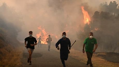 L'Espagne demande l'aide de l'UE pour combattre les incendies qui provoquent l'évacuation de milliers de personnes