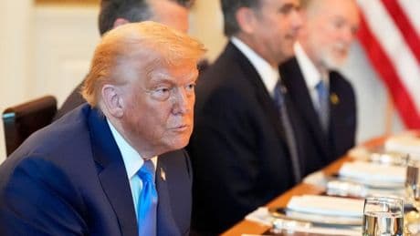 Handelsstreit: Europa muss aufhören, sich von Donald Trump mobben zu lassen