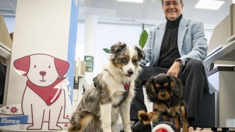 Este es el directivo español al que agradecerle que su mascota no tenga parásitos