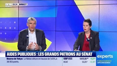 Les Experts : Aides publiques, les grands patrons au Sénat - 13/05