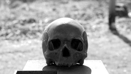 Un mystérieux crâne découvert sous une basilique pourrait être celui d'un roi perdu de Hongrie
