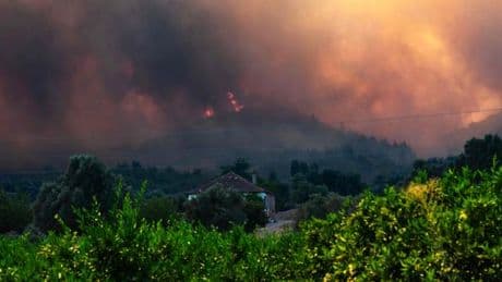 Incendies en Turquie : plus de 50 000 personnes évacuées