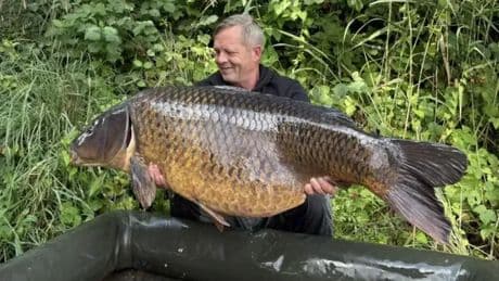 Unterfranken: Angler zieht Riesen-Karpfen aus See