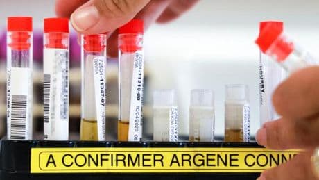 A La Réunion, la crainte des malades d’être confrontés à un « chikungunya long »