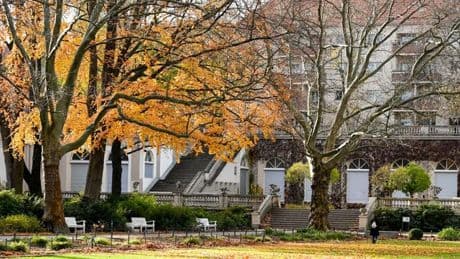 Messerattacke: Mann im Körnerpark erstochen: Verdächtiger festgenommen