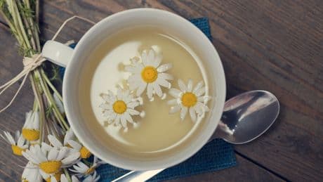 Nicht für alle gesund: Wer besser auf Kamillentee verzichten sollte