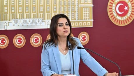 DEM, 'Terörsüz Türkiye'den rahatsız oldu