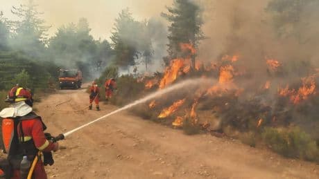 Los últimos incendios forestales no han activado incidencias ni en la red de alta tensión de Red Eléctrica ni en distribución