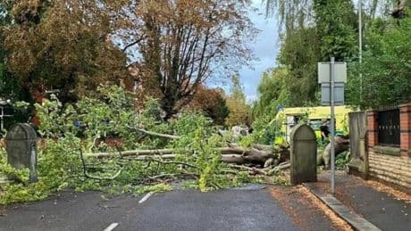 Woman killed by tree branch that ‘snapped’ over her in Manchester