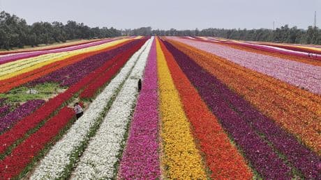 Dit zijn de indrukwekkendste foto’s van de week