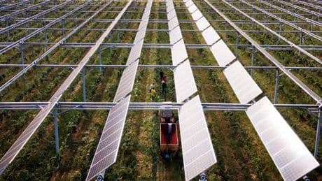 Un moratoire sur l’éolien et le solaire adopté à l’Assemblée nationale par un vote conjoint de la droite et de l’extrême droite