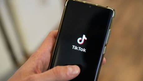 "Mettre en lumière les dérives": l'Assemblée nationale lance une consultation citoyenne sur les effets psychologiques de Tiktok
