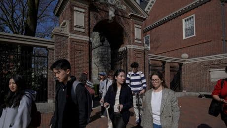 « Nous sommes tous extrêmement choqués » : Donald Trump veut priver Harvard d’étudiants étrangers