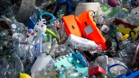 Santé humaine, biodiversité, pollution... Pourquoi le plastique est devenu si problématique?