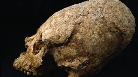 Hemos encontrado un cráneo de hace 6.200 años con forma de cono y signos de violencia. La gran pregunta es qué hacía ahí