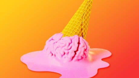 Welcome to brain rot summer