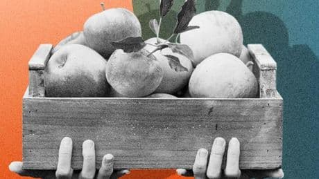 Mon jardin est-il couvert par l’assurance-habitation ?